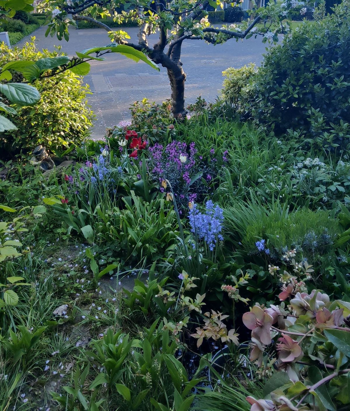 De appelboom van Jelle in het voorjaar, met eronder bloeiende bollen en vaste planten