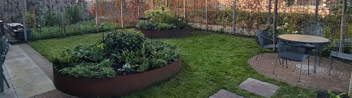 Ecologische achtertuin met ronde borders in cortenstaal, een pergola en een terrasje op het gazon