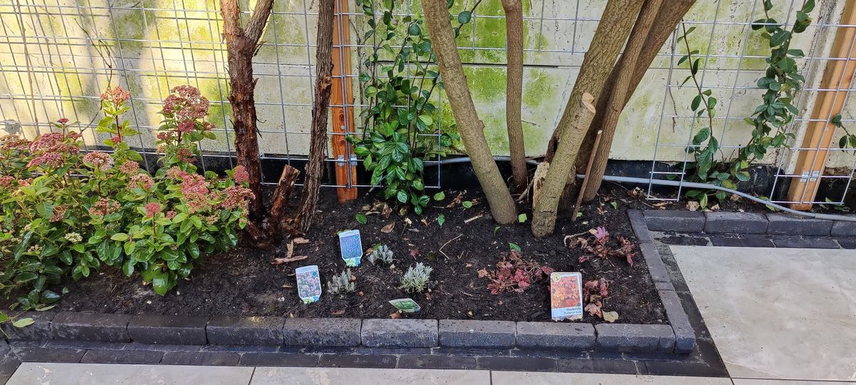 Nieuwe border in de stadstuin met jonge planten en naamkaartjes