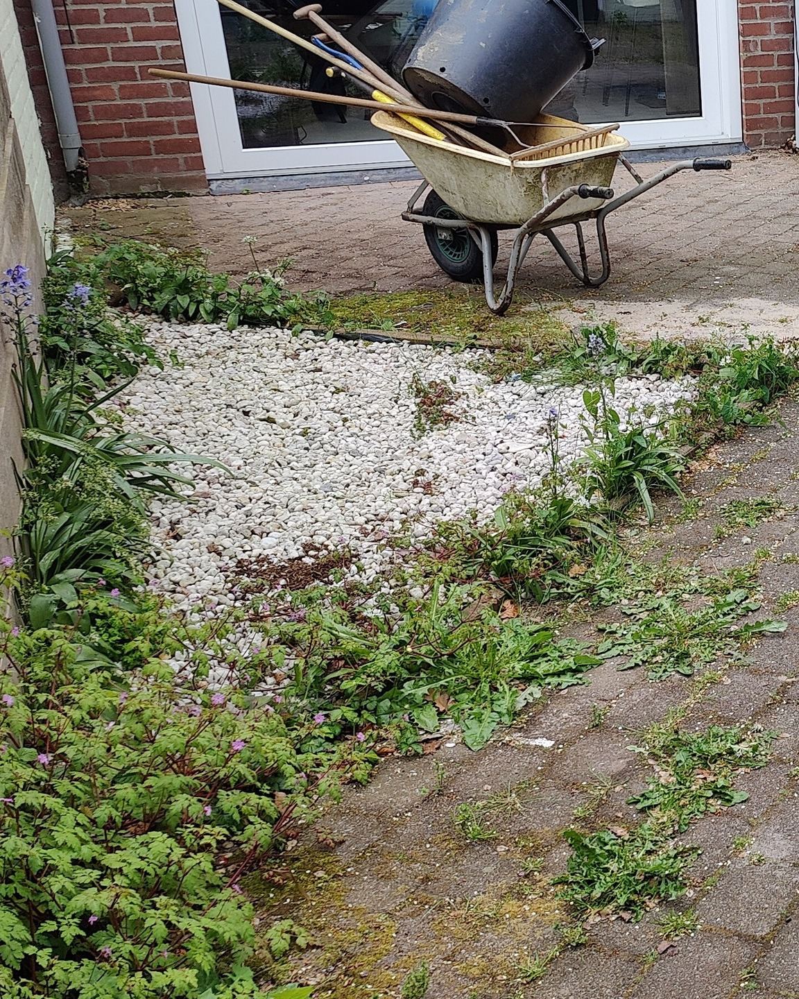 Terras van oude klinkers met onkruid in de voegen en in het grind, met een kruiwagen bij de deur