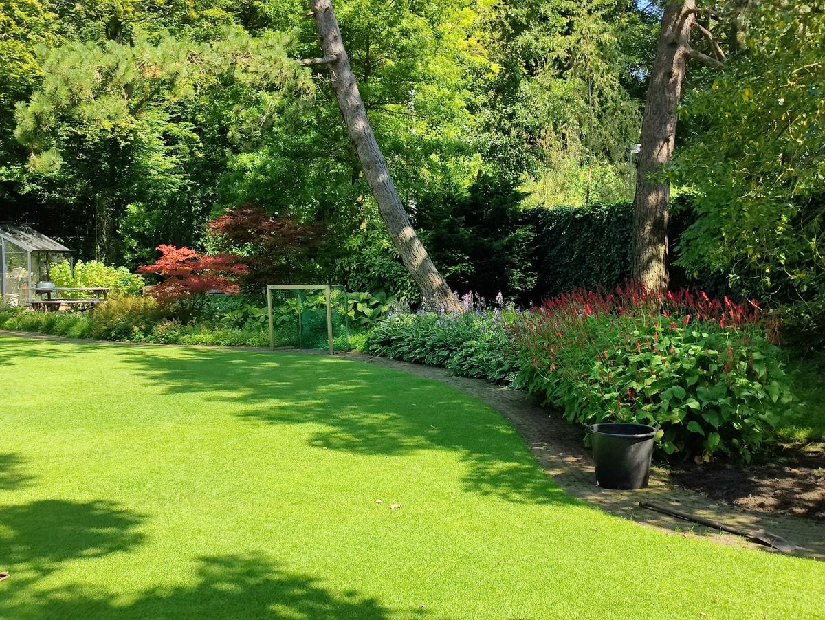 Groot gazon met een gebogen rand, borders met een rode Japanse esdoorn en hoge bomen in de zomer