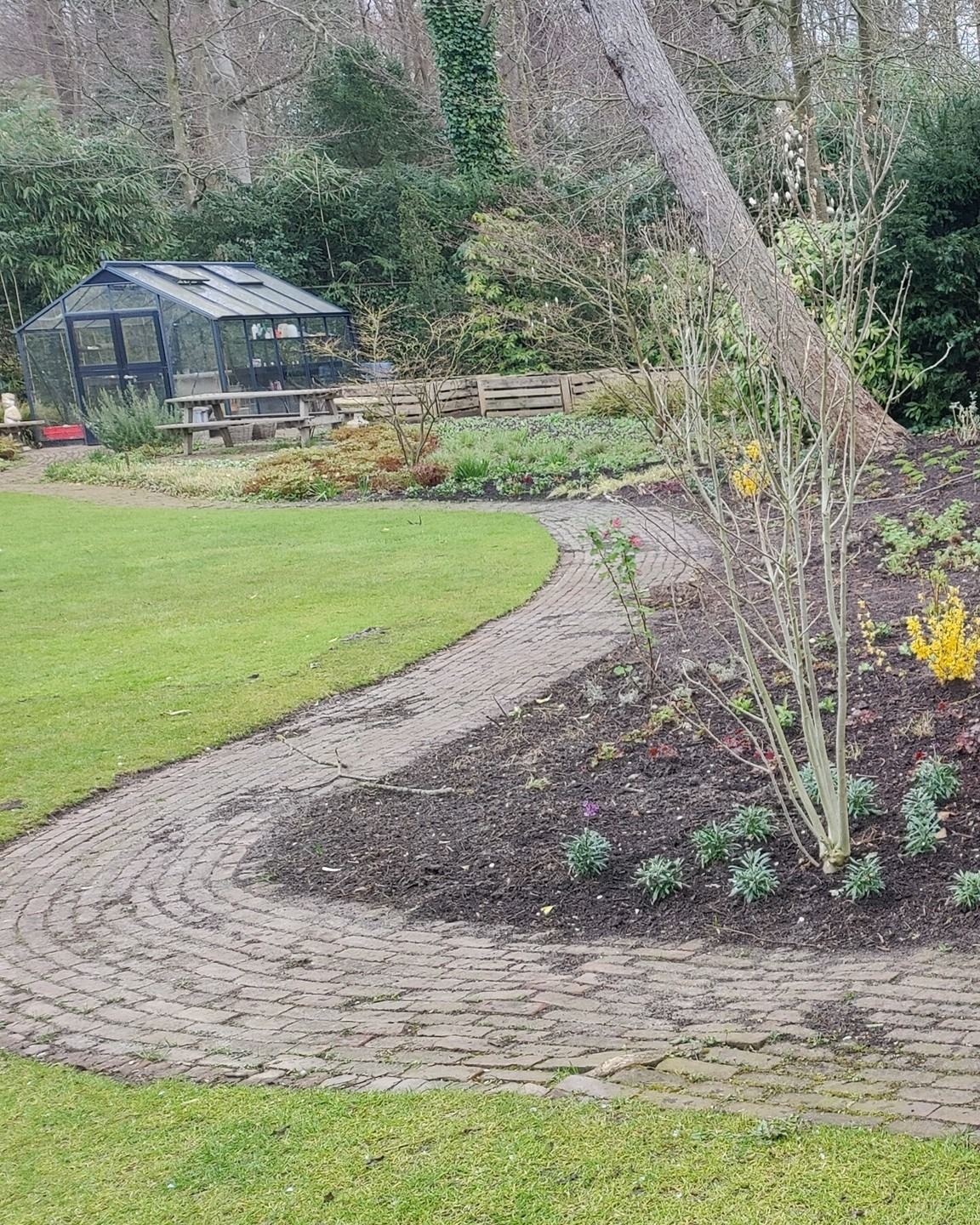 Tuin met een tuinkas, een gazon en een gebogen klinkerpad langs een pas beplante border, in maart